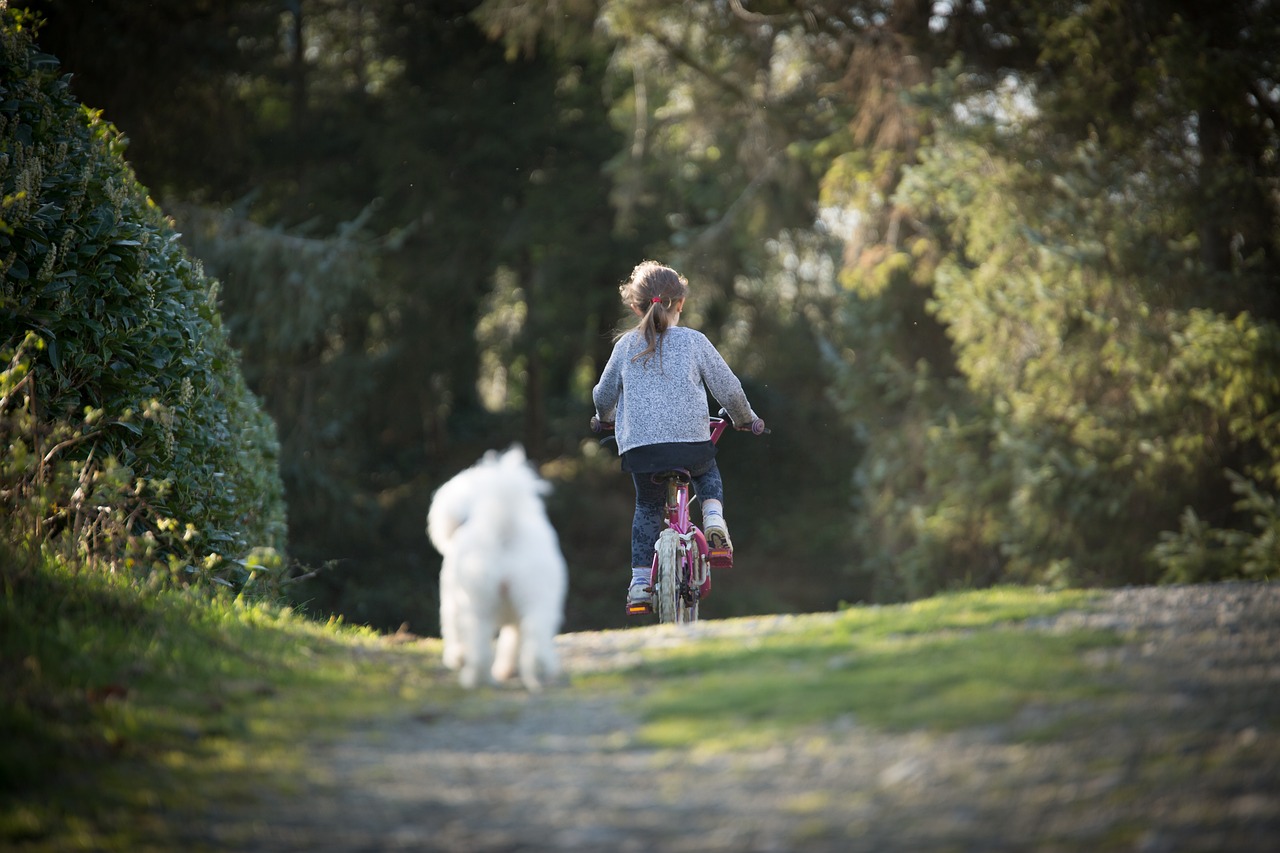 girl, biking, dog-4823612.jpg